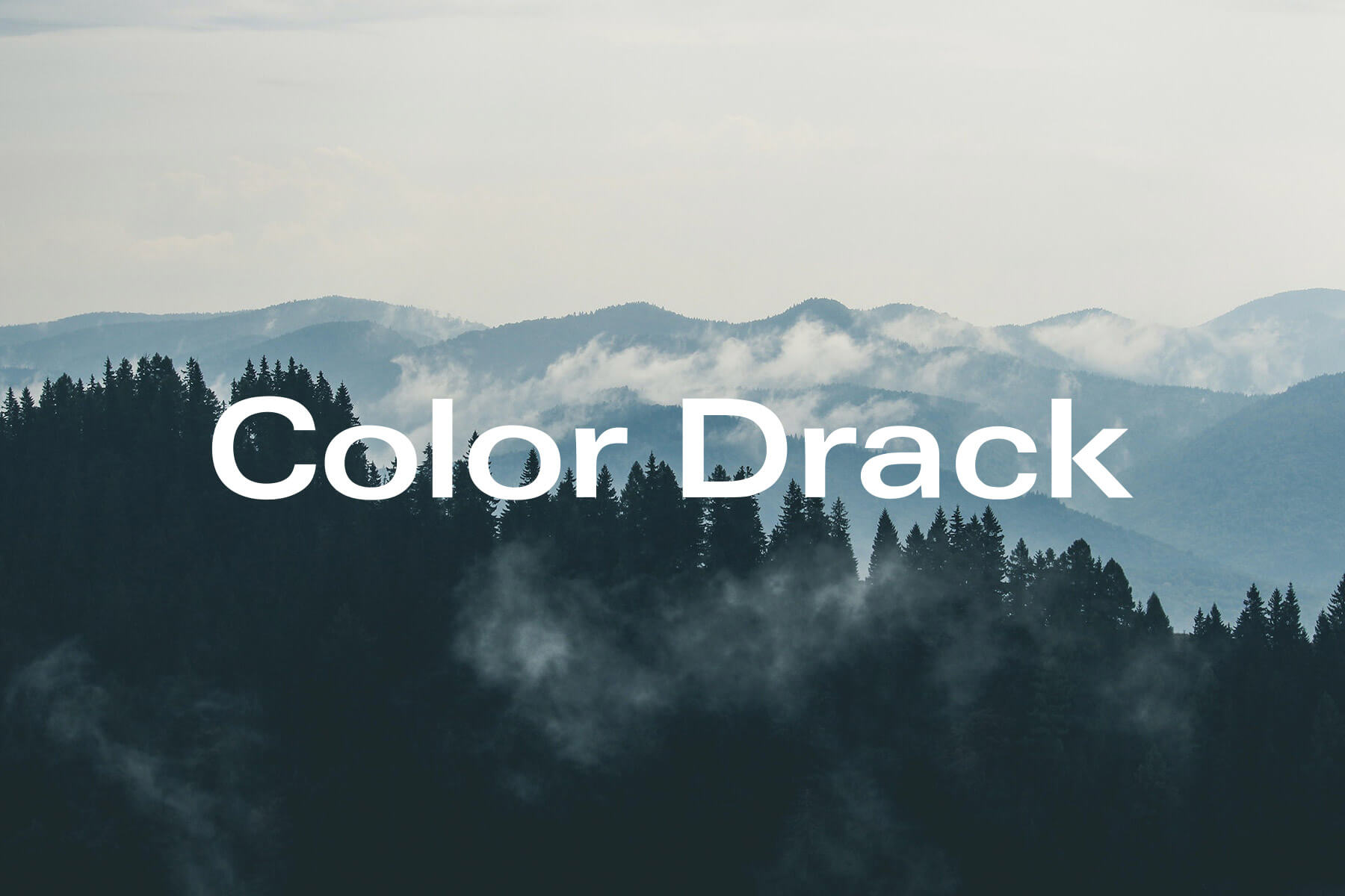Color Drack &#8211; Our new lab